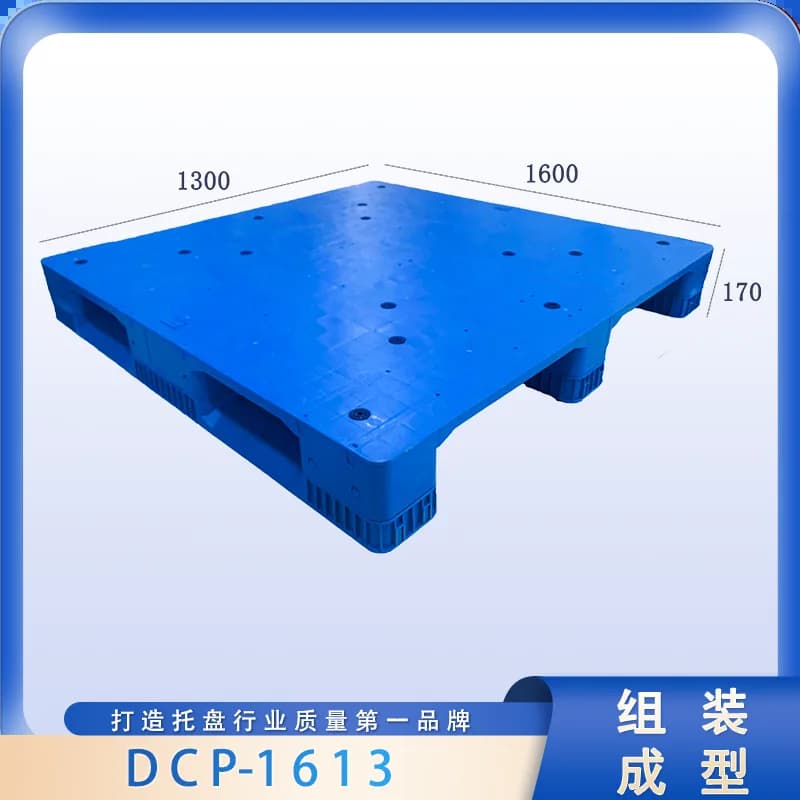 DCP-1613